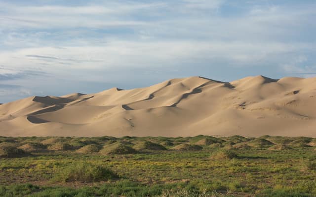 Khongoryn Els sand dunes, Gobi Desert